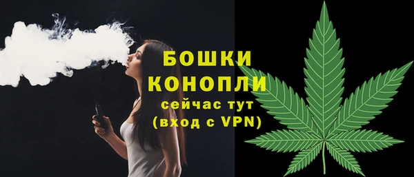 apvp Арсеньев