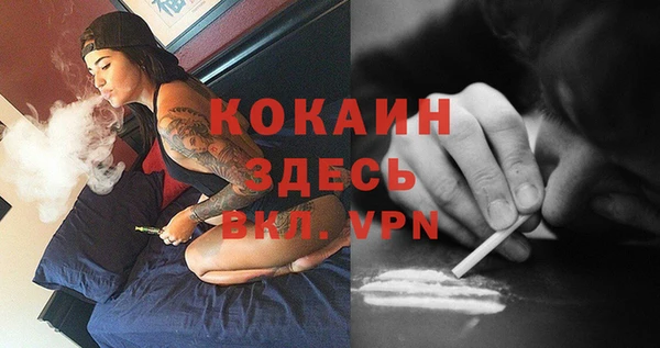 MESCALINE Аркадак