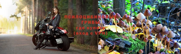 меф Каменногорск