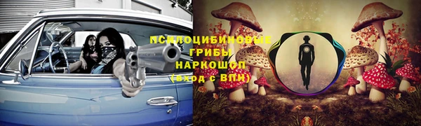 трава Балахна